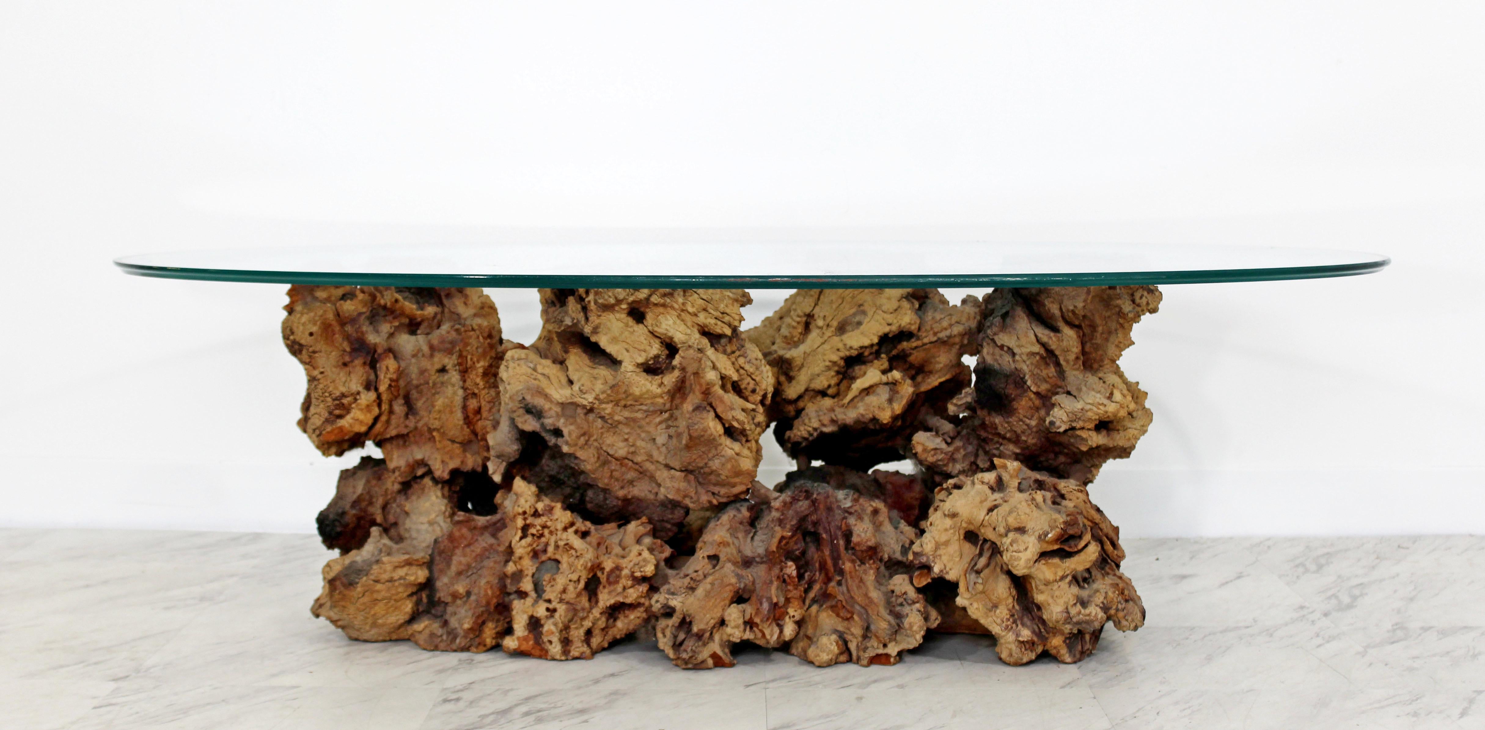 For your consideration is a marvelous coffee table, made of burl driftwood and with an ovular glass top, circa the 1960s. In excellent condition. The dimensions are 52