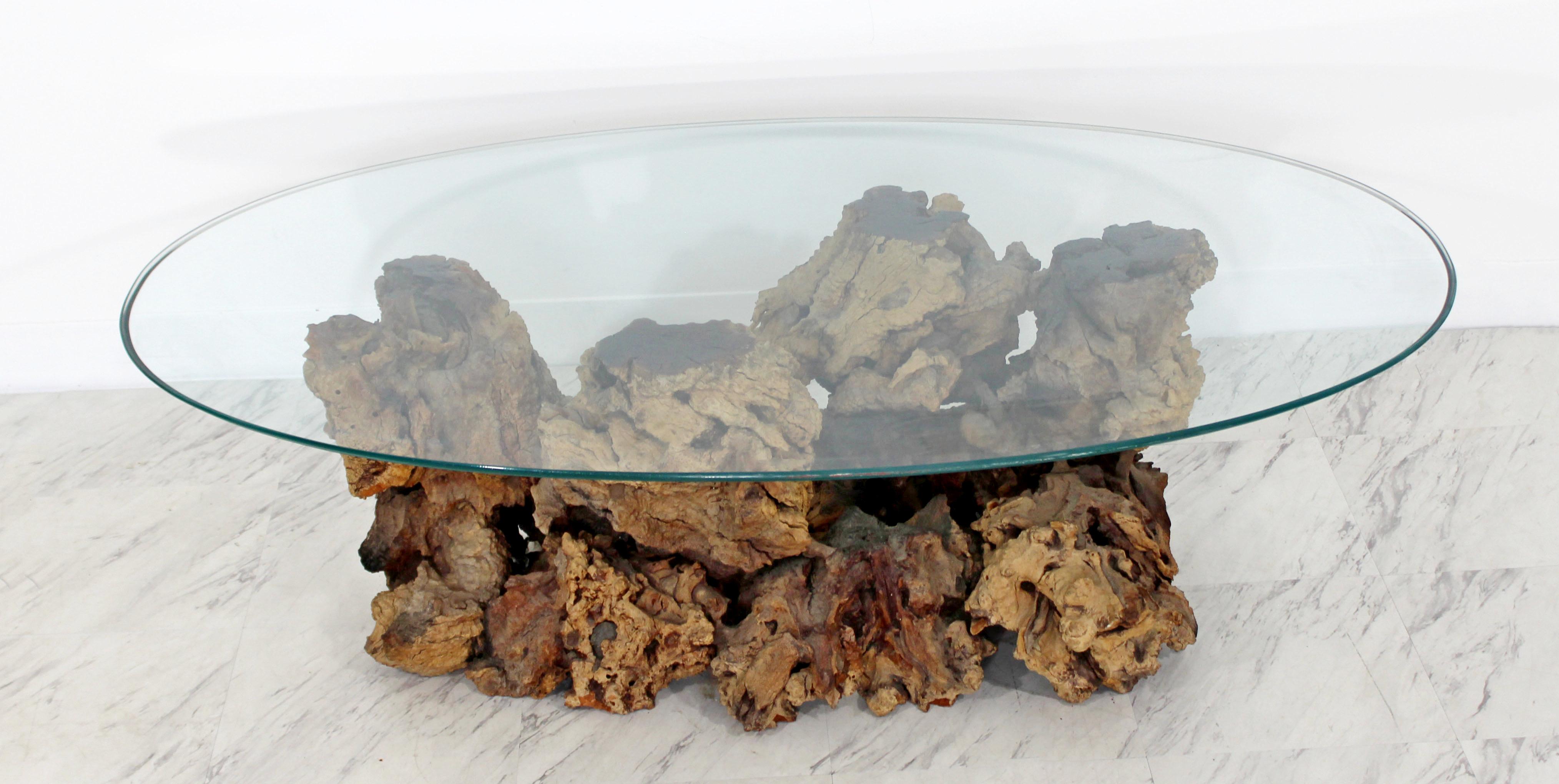 Mid-Century Modern Sculptural Burl Wood Driftwood Tree Trunk Coffee Table, 1960s In Good Condition In Keego Harbor, MI