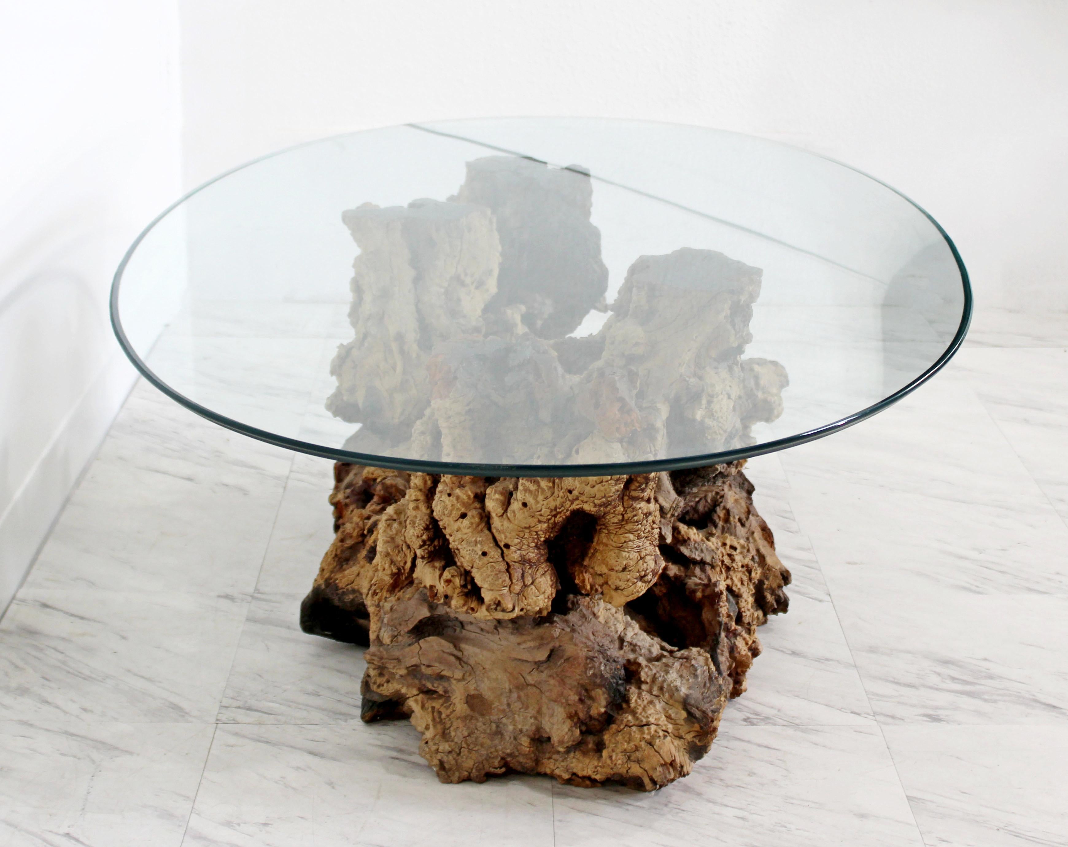 Mid-Century Modern Sculptural Burl Wood Driftwood Tree Trunk Coffee Table, 1960s 2