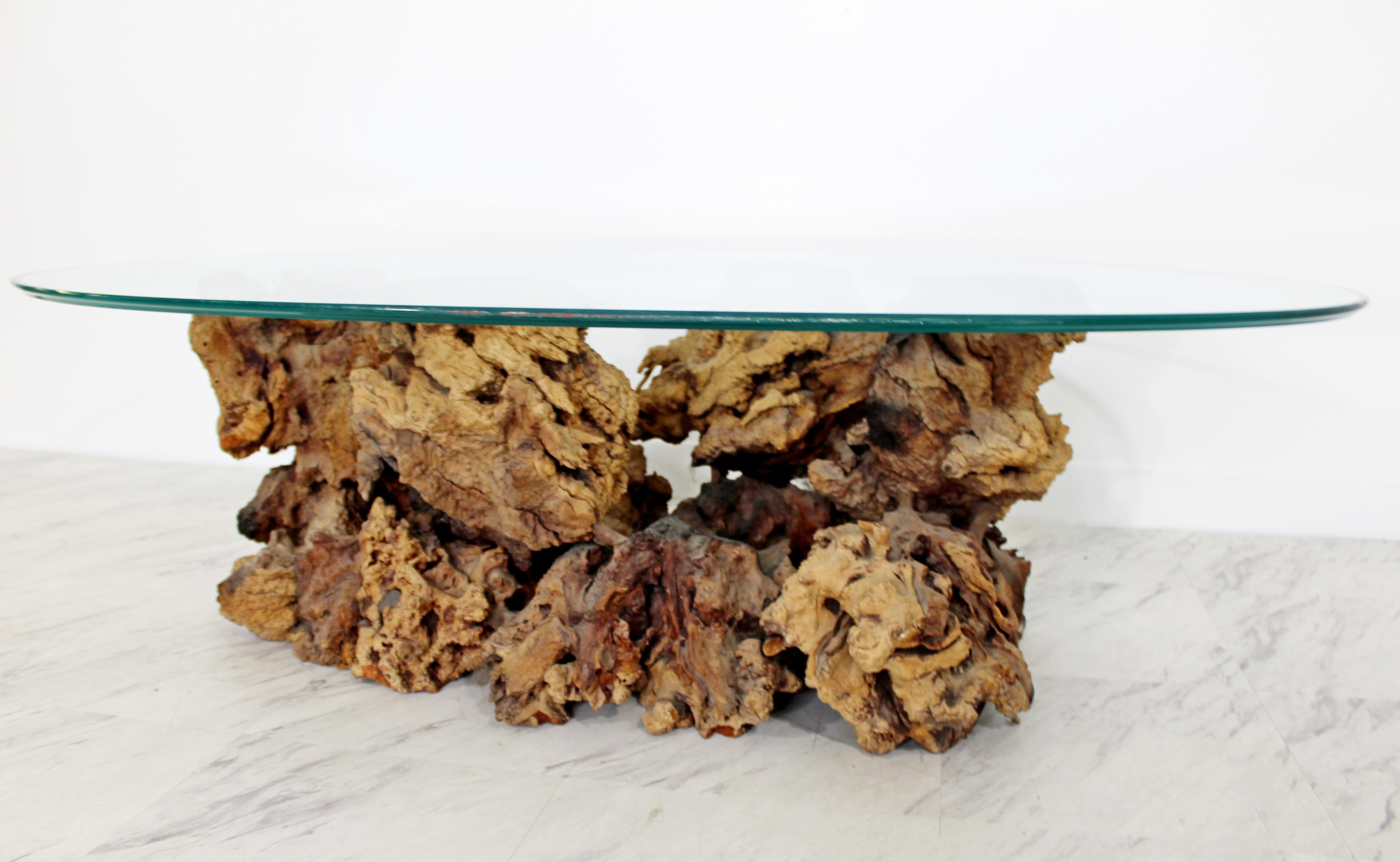 Mid-Century Modern Sculptural Burl Wood Driftwood Tree Trunk Coffee Table, 1960s 4