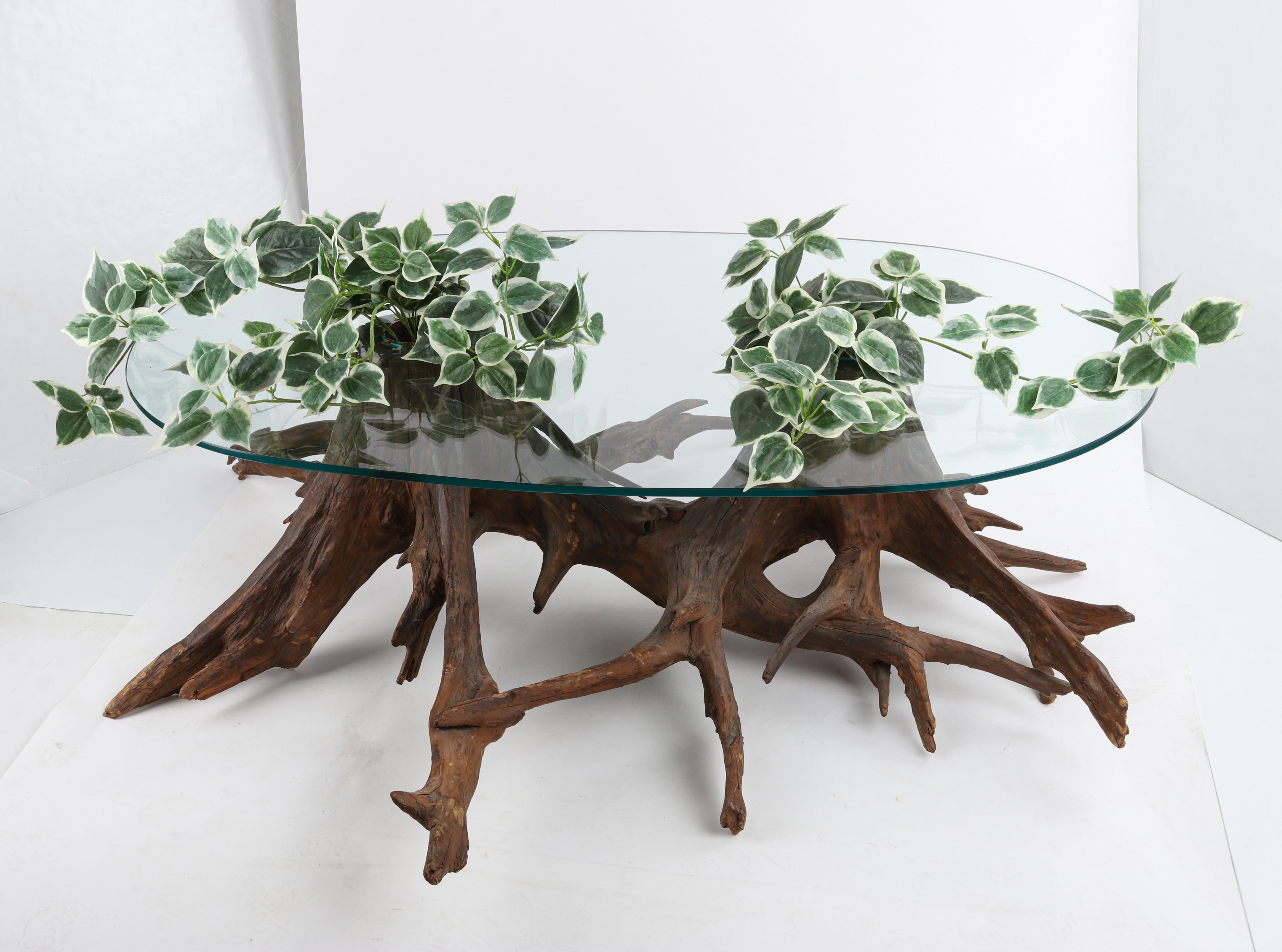 Truly unique and one-of-a-kind driftwood coffee center table with planter inserts. Nature surely delivers some beautiful artwork, such as this sculpted wood base. The shape mimics that of two separate tree trunks with their entangled root bases. The