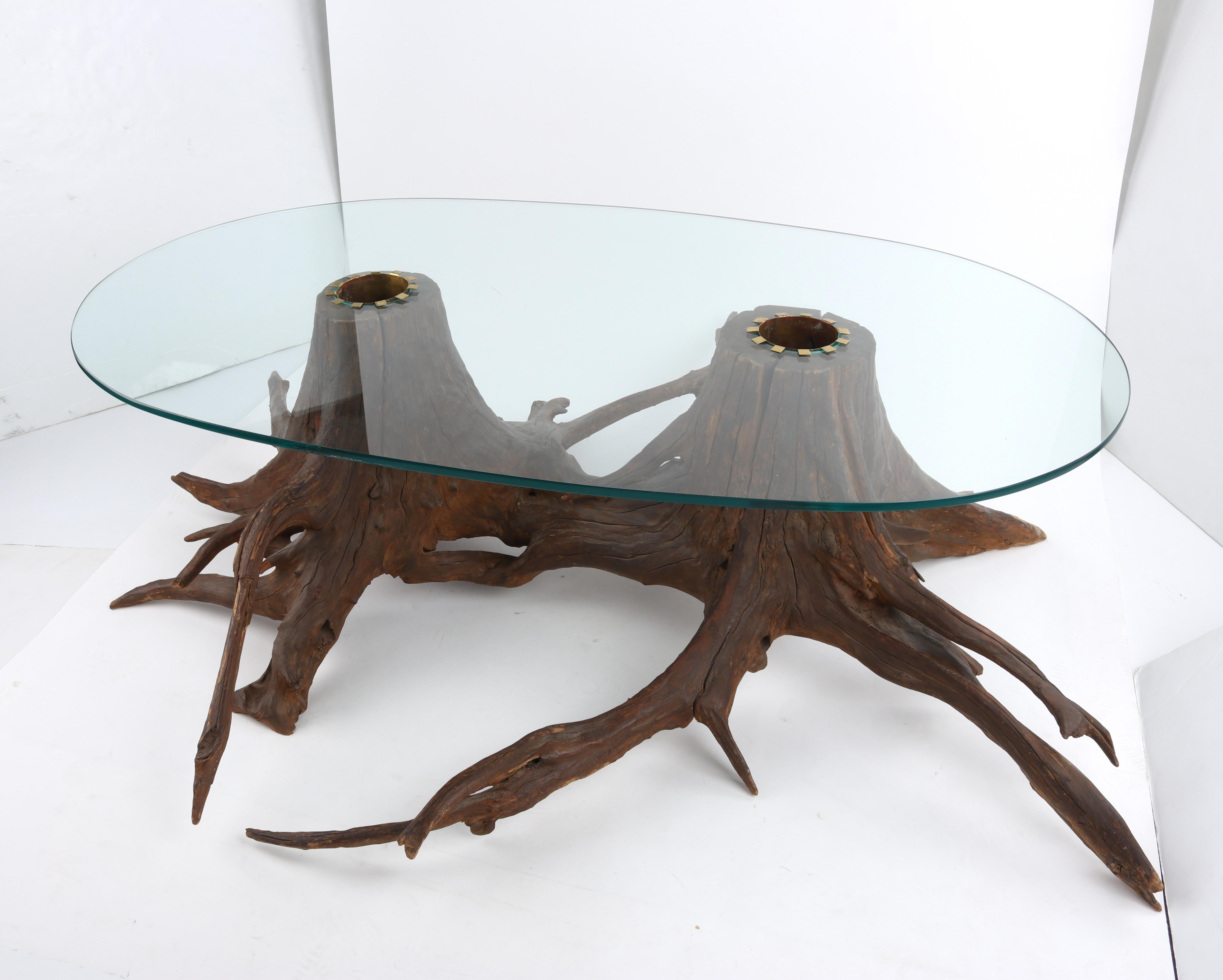 Mid-Century Modern Sculptural Driftwood Glass Planter Insert Coffee Center Table In Good Condition For Sale In Thiensville, WI