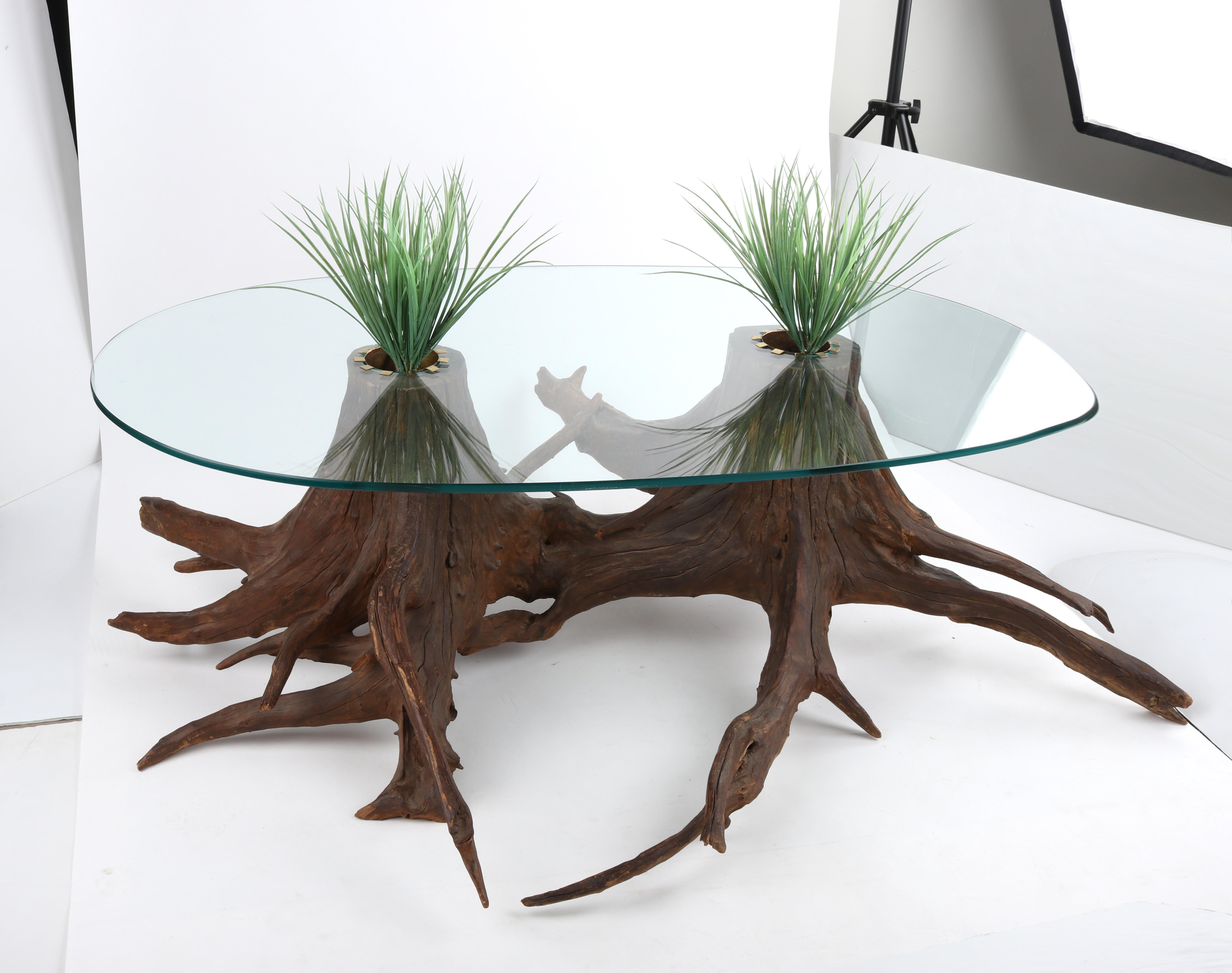 Mid-Century Modern Sculptural Driftwood Glass Planter Insert Coffee Center Table For Sale 1