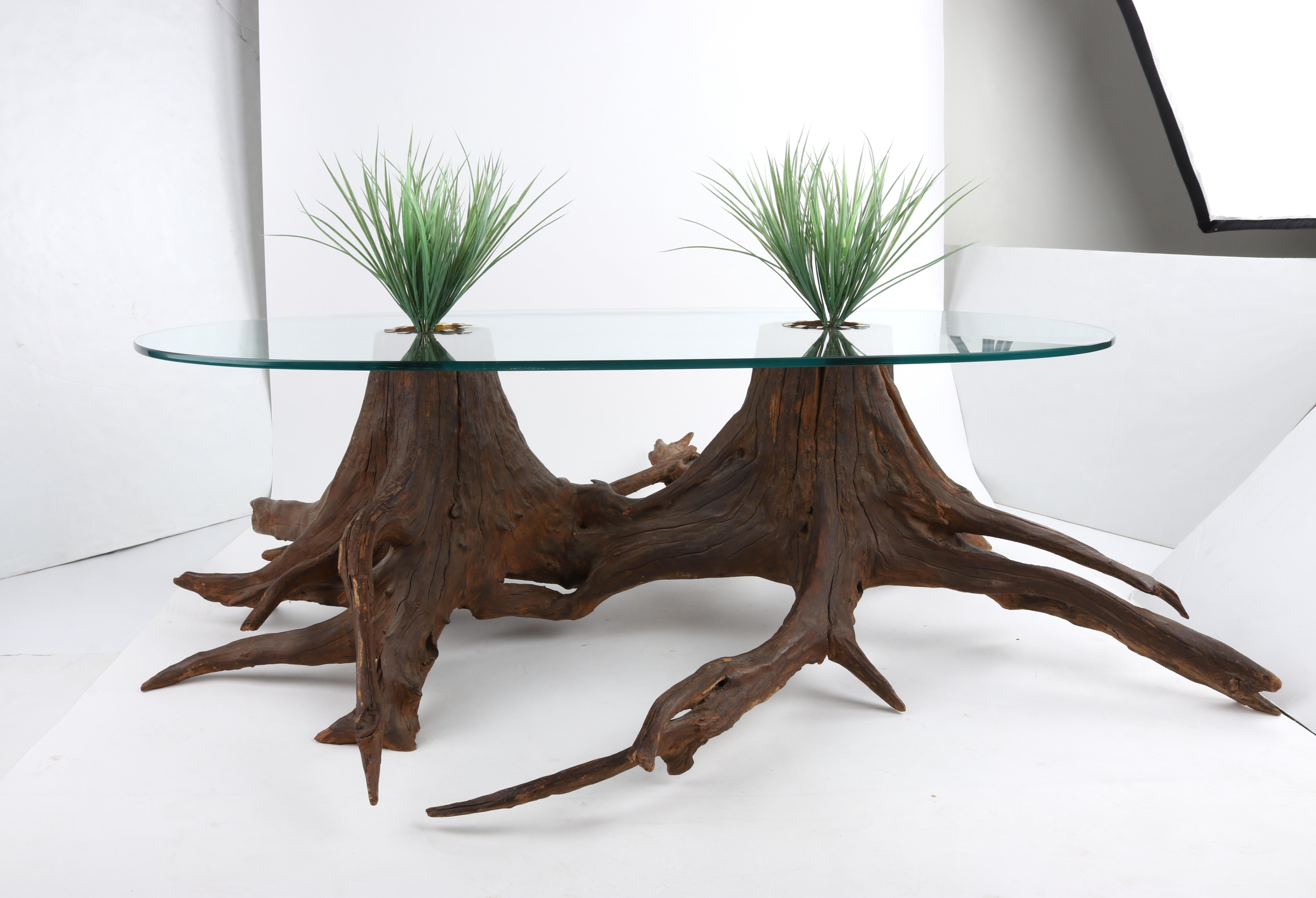 Mid-Century Modern Sculptural Driftwood Glass Planter Insert Coffee Center Table For Sale 2