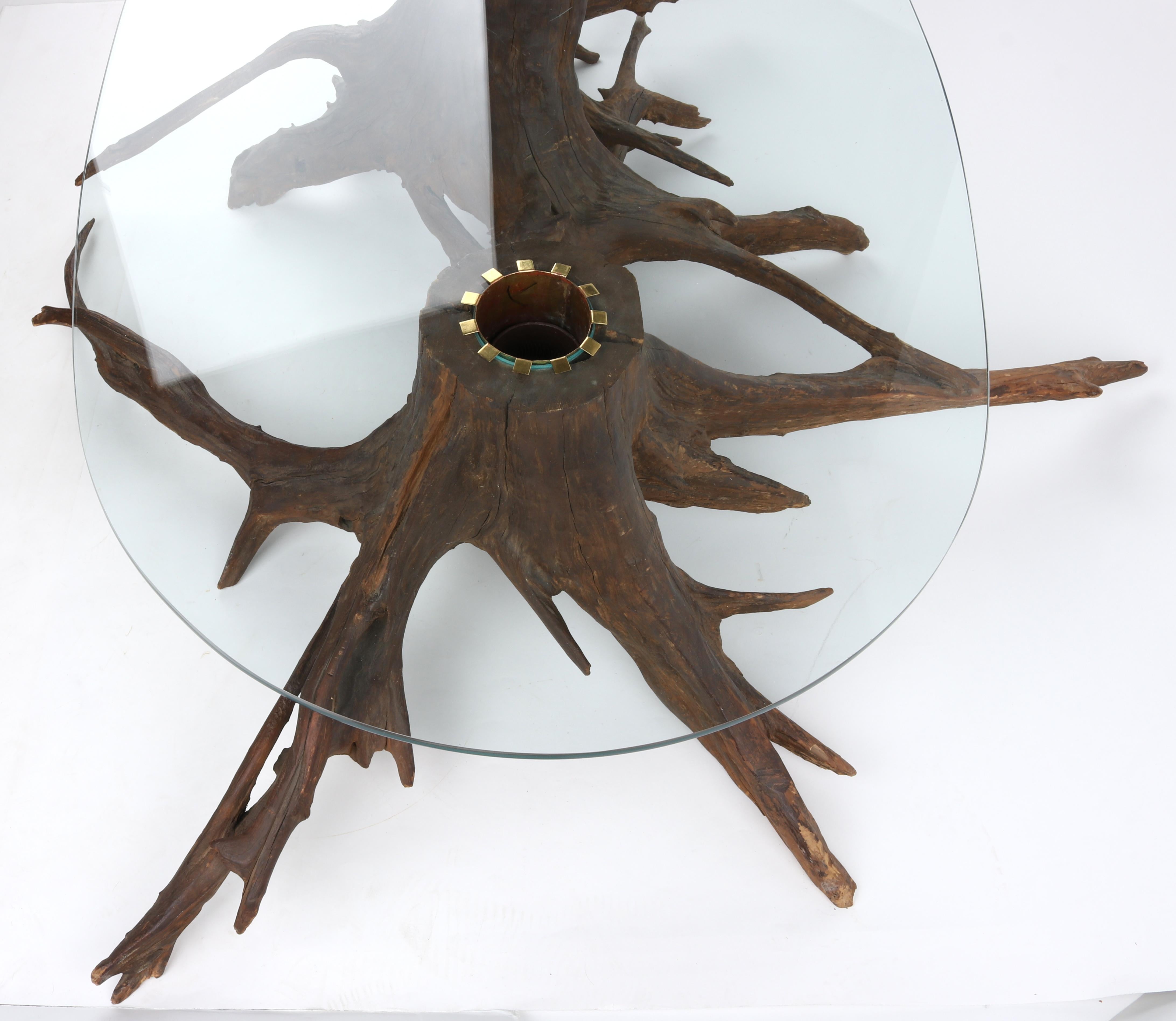 Mid-Century Modern Sculptural Driftwood Glass Planter Insert Coffee Center Table For Sale 3