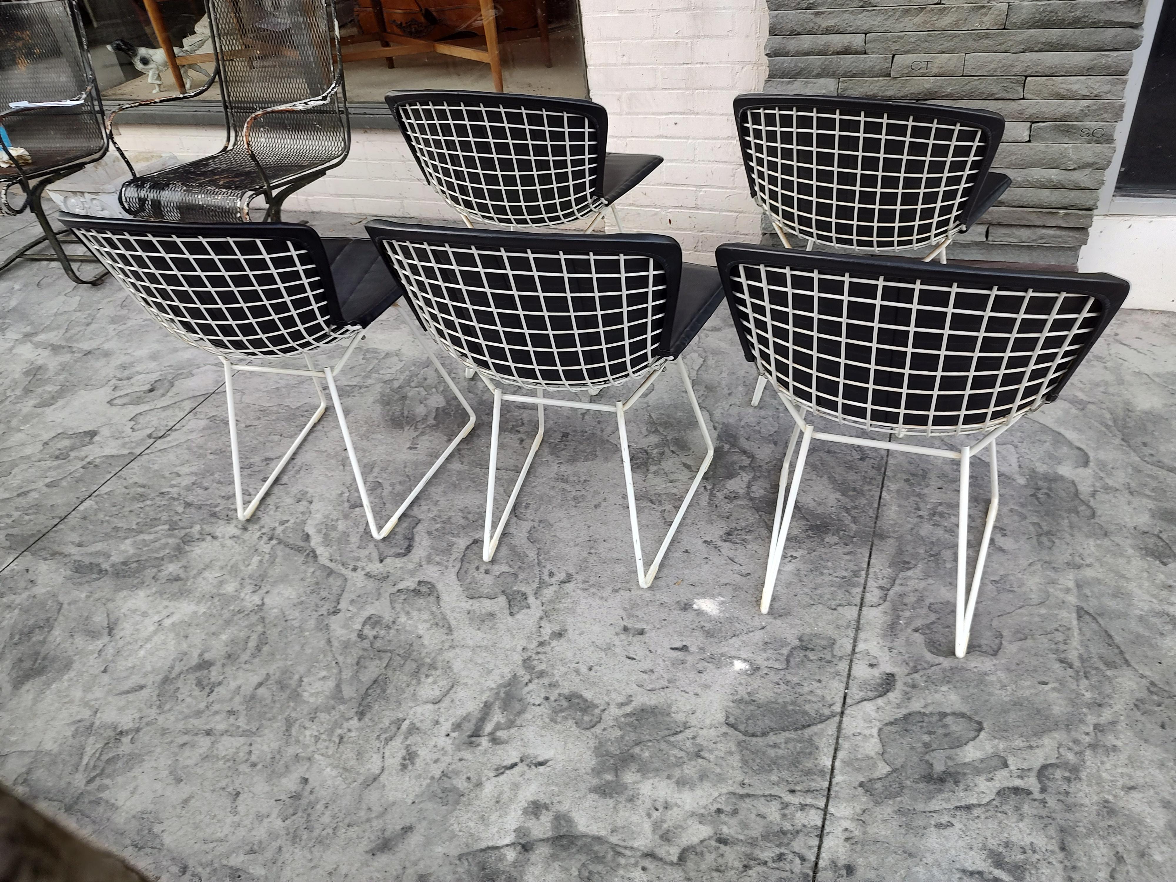  3 chaises d'appoint en fil métallique, de style moderne du milieu du siècle dernier, créées par Harry Bertoia pour Knoll Int. en vente 2
