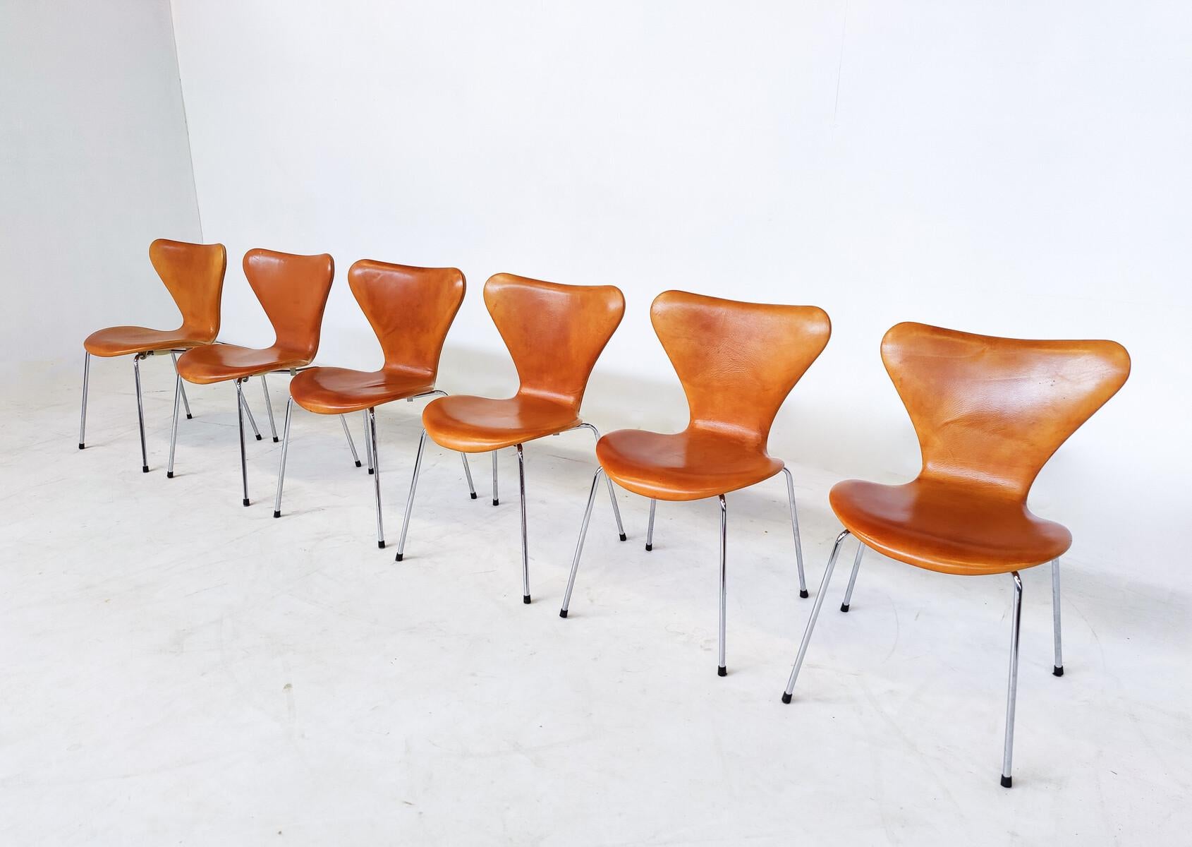 Mid-Century Modern Set of 6 Cognac Leather Chairs by Arne Jacobsen 3