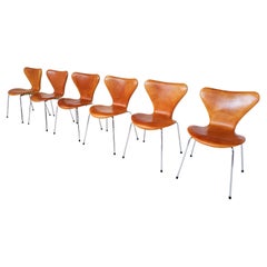 Mid-Century Modern Set of 6 Cognac Leather Chairs by Arne Jacobsen