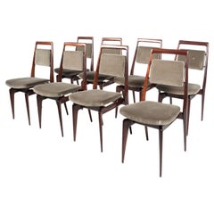 Mid-Century Modern Set of 8 Chairs by Vittorio Dassi, Italy, 1950s