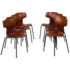 Mid Century Modern Set of 8 Model 3103 T-Chairs Designed by Arne Jacobsen