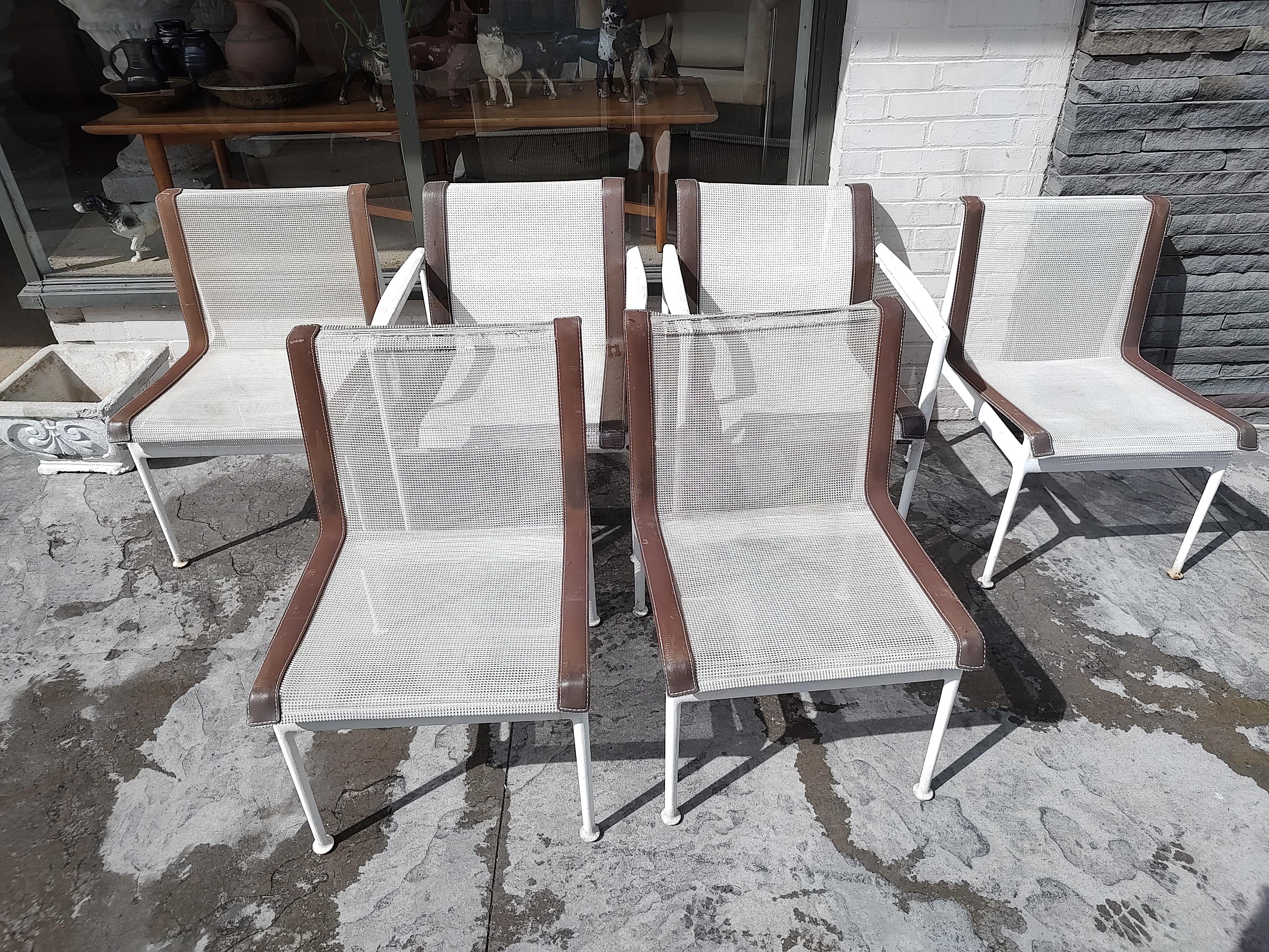 Mid-Century Modern Set of Enameled Table 6 Chairs by Richard for Knoll Schultz 10