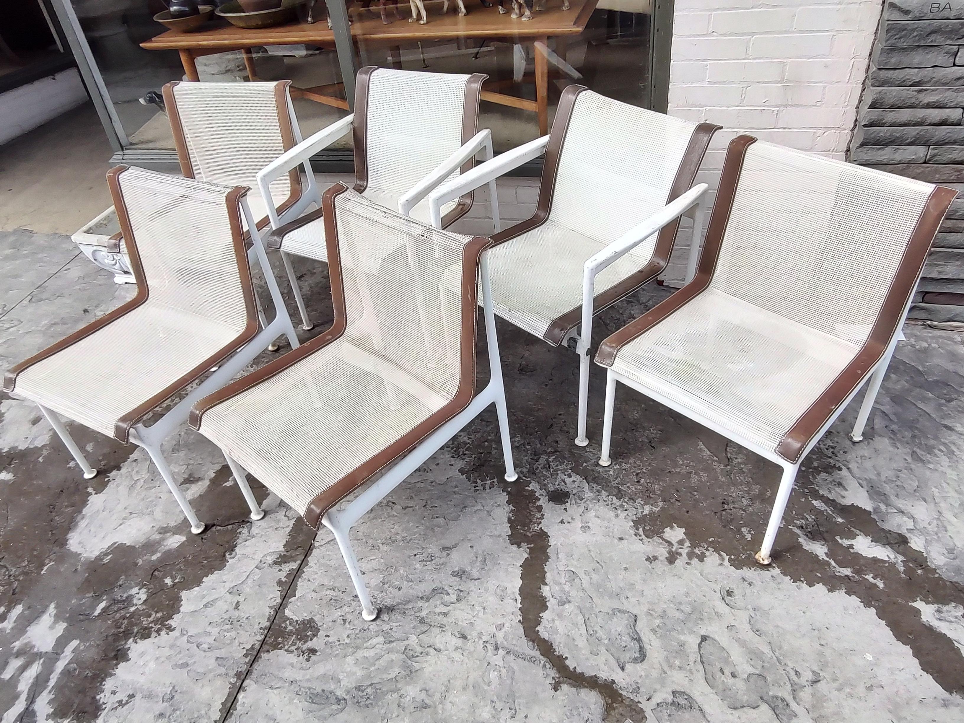 Mid-Century Modern Set of Enameled Table 6 Chairs by Richard for Knoll Schultz 11