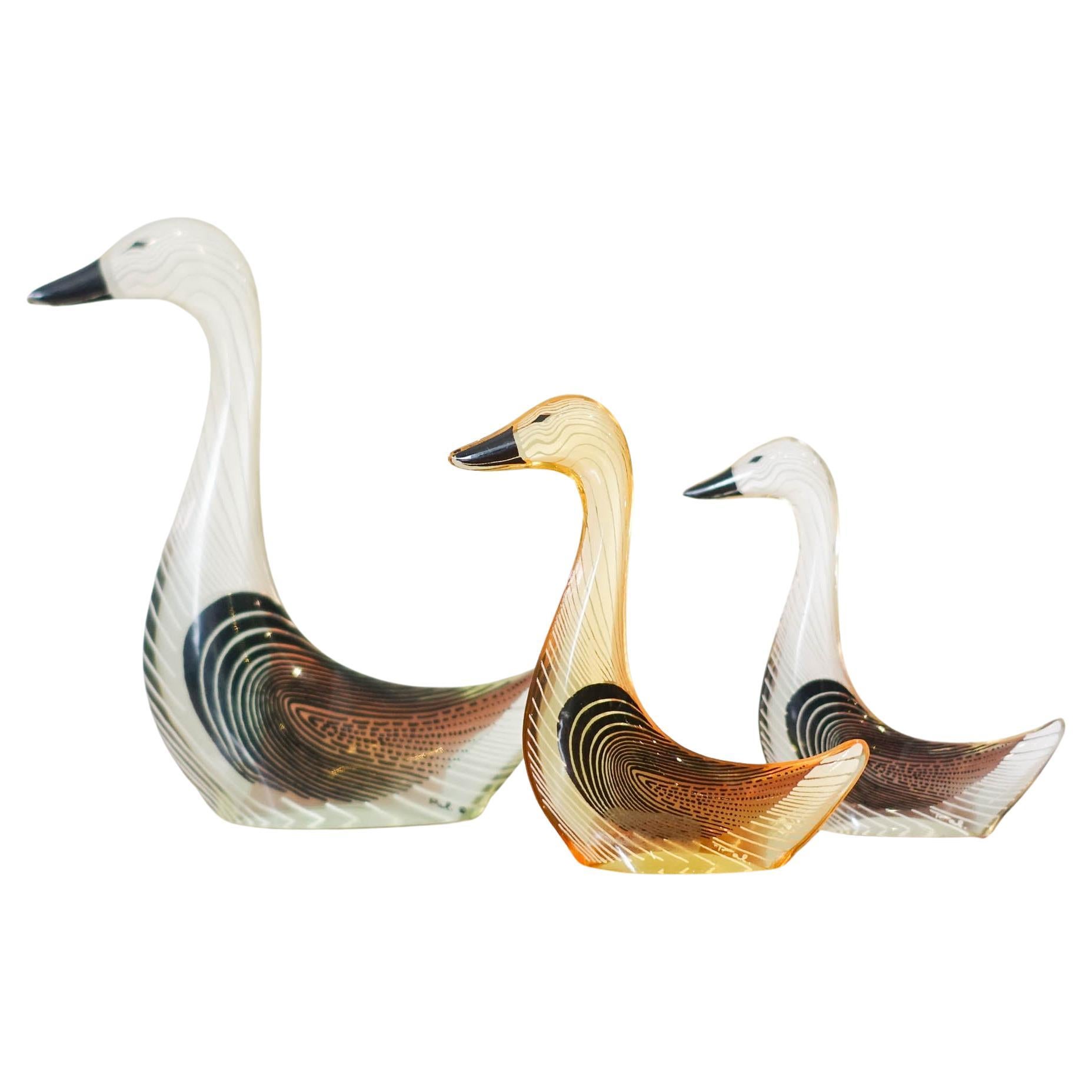 Mid-Century Modern Set of Geese in Acrylic Glass by Abraham Palatnik, 1970's For Sale