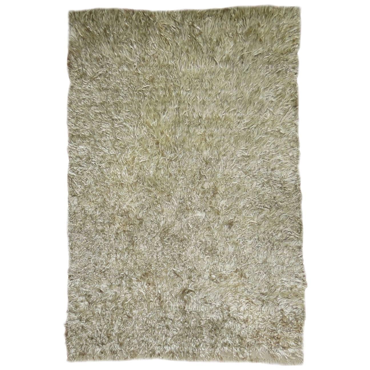 Mid-Century Modern Shag Rug