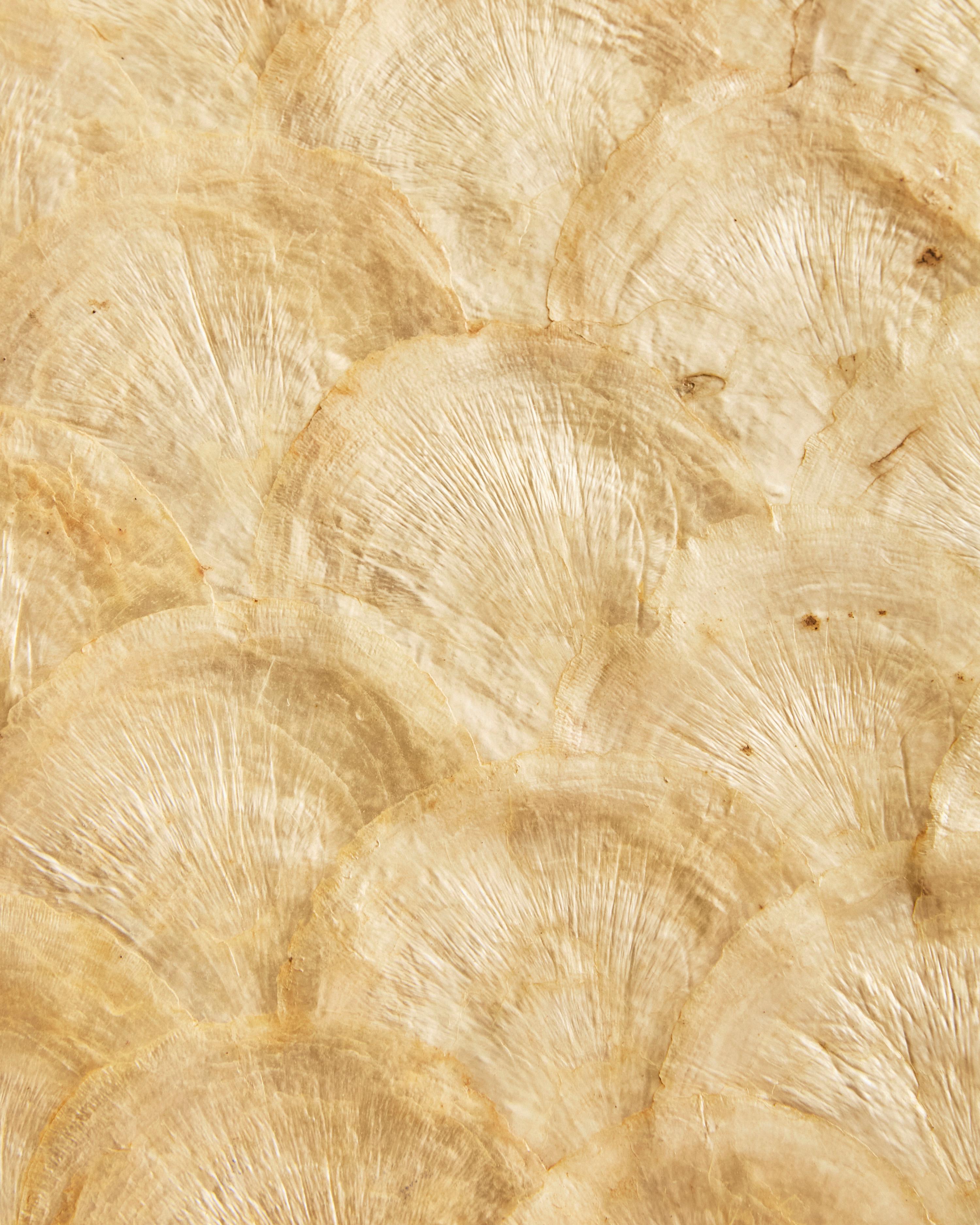 Milieu du XXe siècle Mid Century Modern Shelled Topped Walnut Side Table en vente