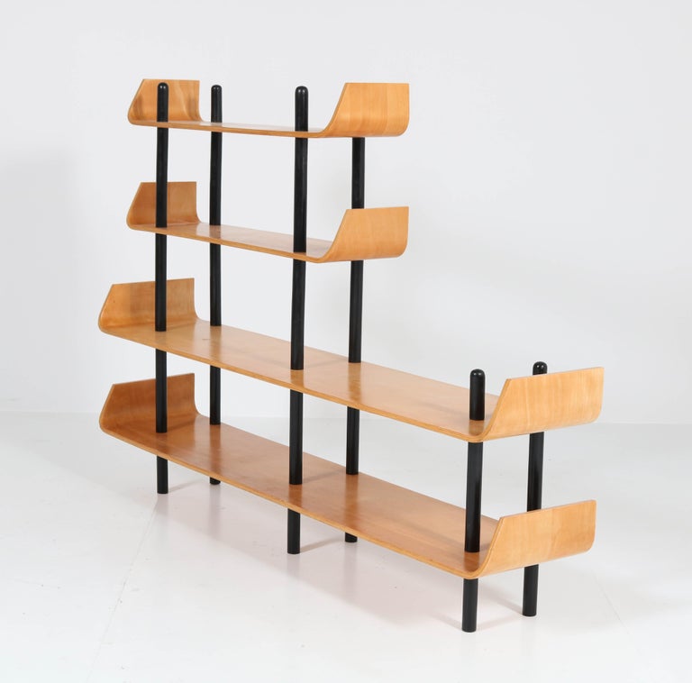 MidCentury Modern Shelving Unit or Room Divider by Lutjens for Gouda