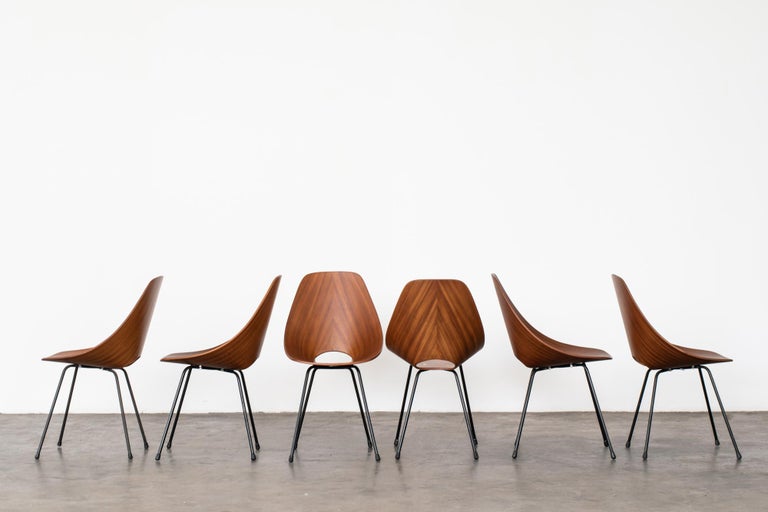 Medea Chair Mid-Century Modern, Six Medea Chairs, Vittorio Nobili/F.lli Tagliabue ...
