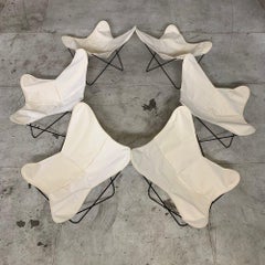 Mid-Century Modern Solid Iron Butterfly Canvas Chair