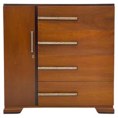 Cassettiera in teak e cromo del Mid Century Modern