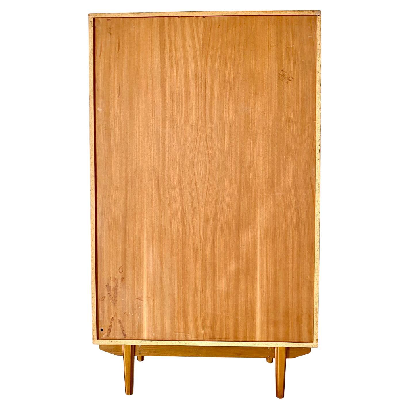 Mid-20th Century Mid Century Modern Teak Cupboard in Scandinavian Style, Italy 1960 For Sale