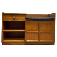 Vintage Mid Century Modern Teak ENTRYWAY CABINET, c. 1960's