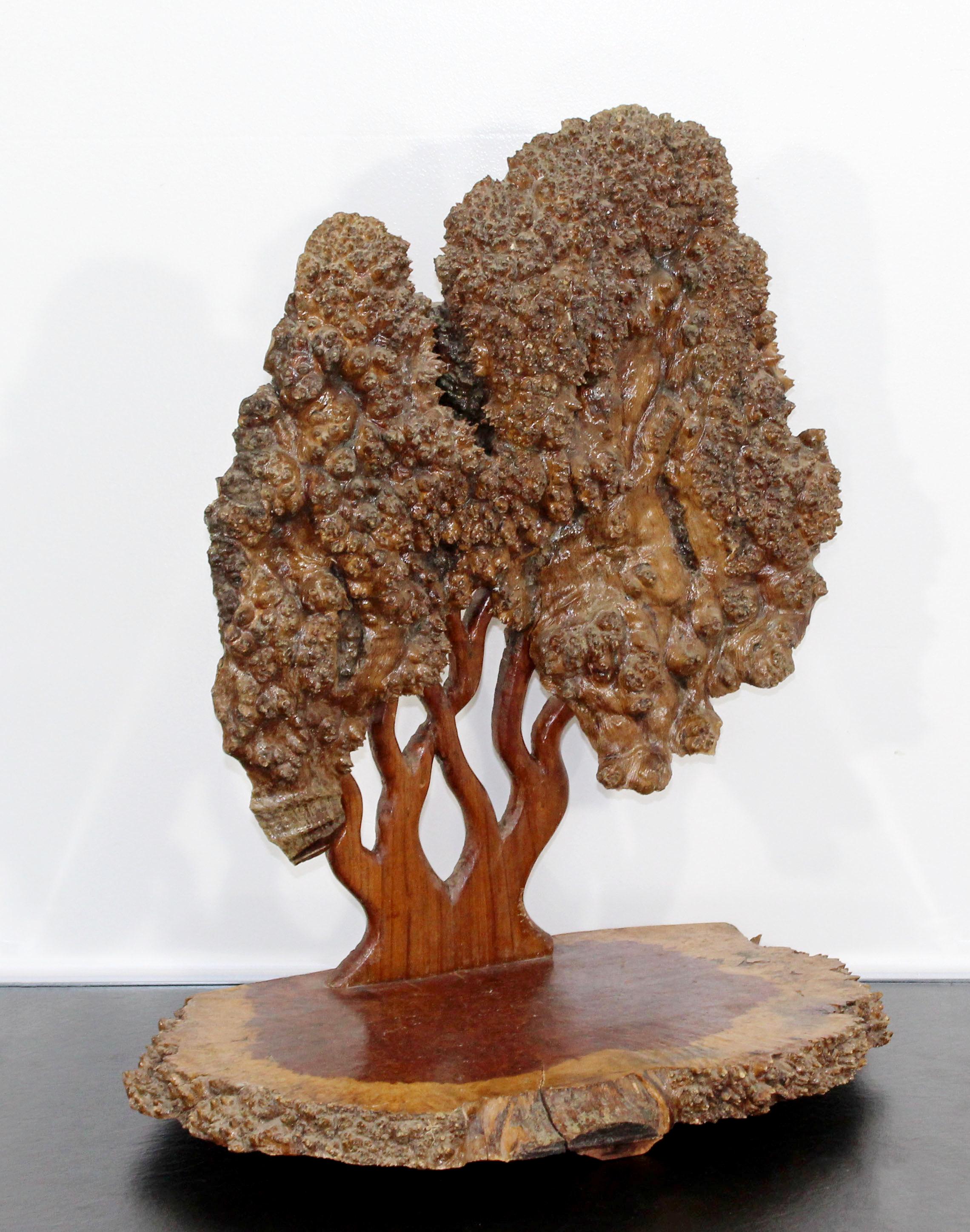Mid-Century Modern Textured Tree of Life Studio Made Burl Wood Table Sculpture (Moderne der Mitte des Jahrhunderts)