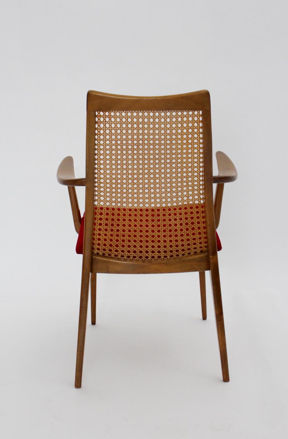 Mid-20th Century Mid-Century Modern Thonet Beechwood Woven Cane Vintage Armchair, 1950s For Sale