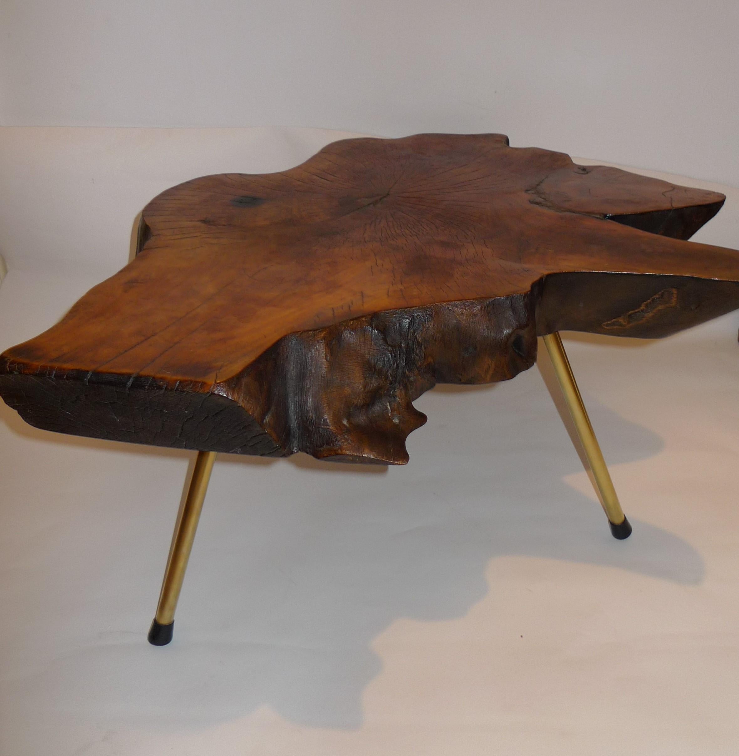 Mid-Century Modern Tree Trunk Coffee Table by Carl Auböck For Sale 5