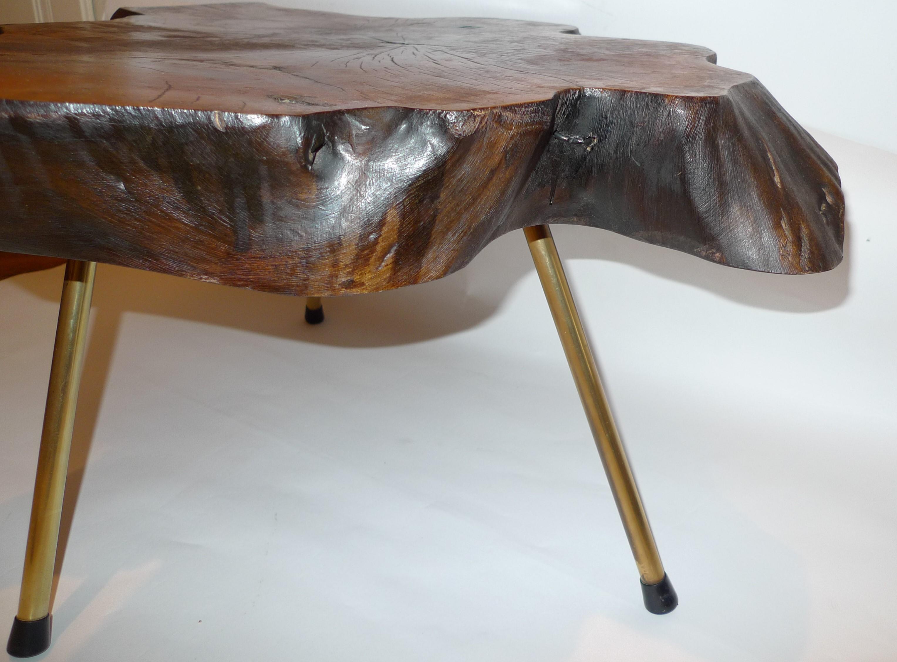 Mid-Century Modern Tree Trunk Coffee Table by Carl Auböck In Good Condition For Sale In Vienna, AT