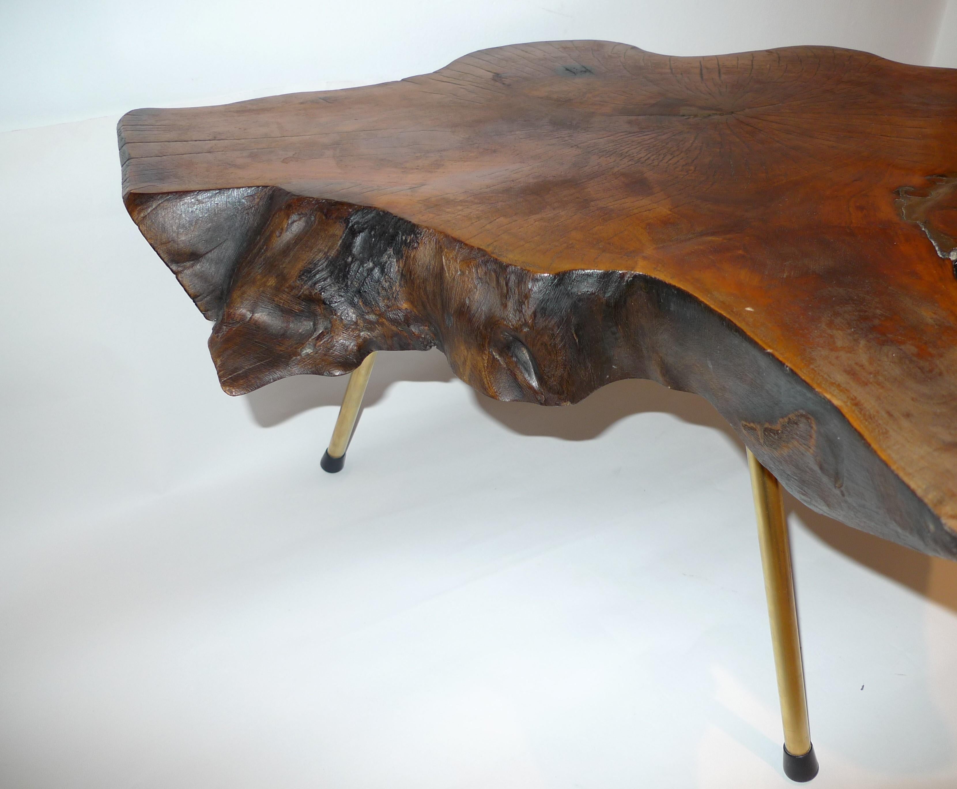 20th Century Mid-Century Modern Tree Trunk Coffee Table by Carl Auböck For Sale
