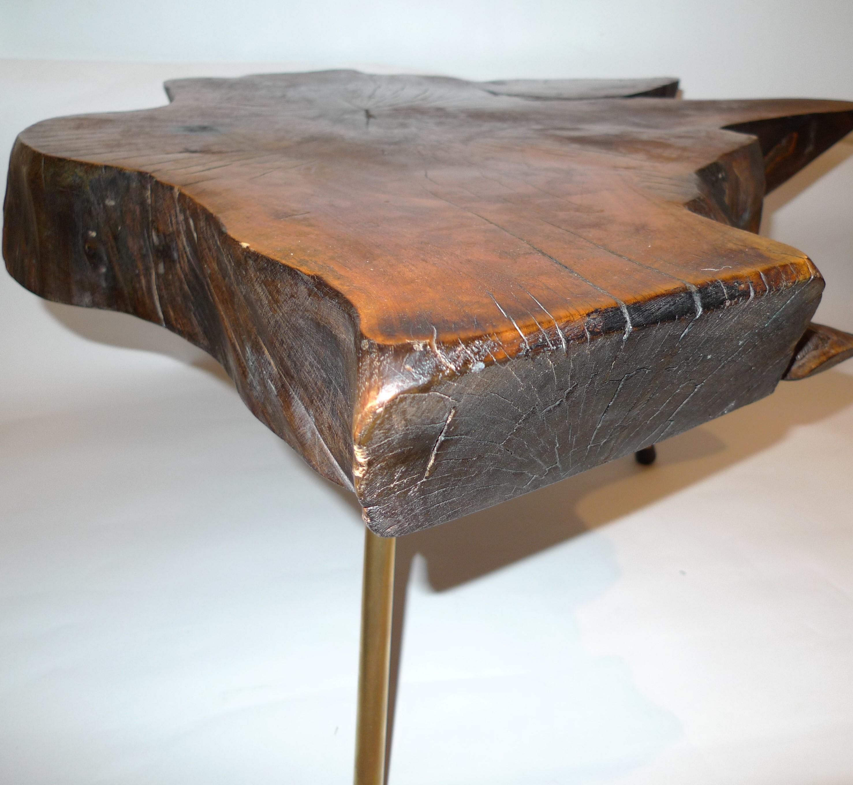 Mid-Century Modern Tree Trunk Coffee Table by Carl Auböck For Sale 1