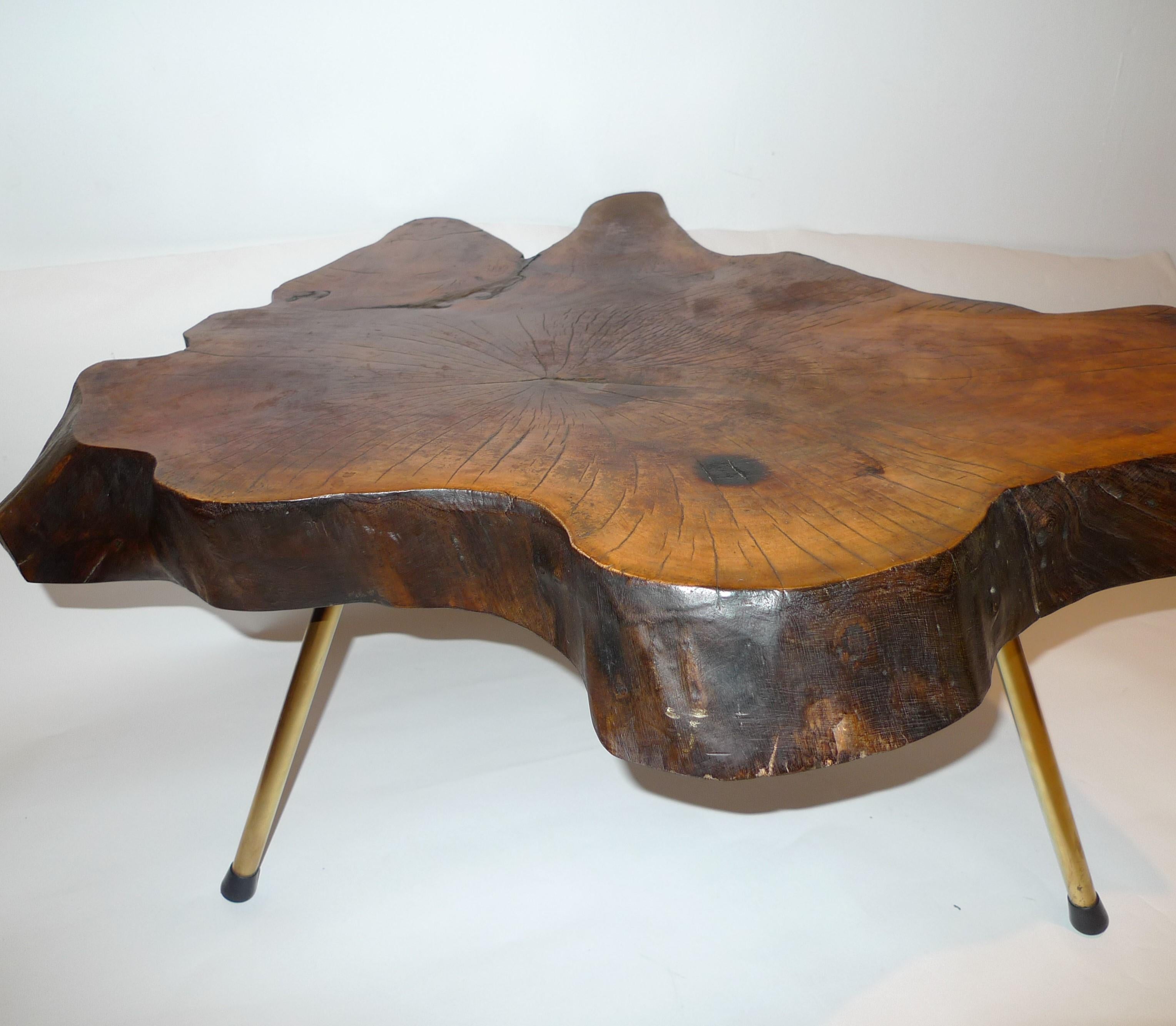 Mid-Century Modern Tree Trunk Coffee Table by Carl Auböck For Sale 2