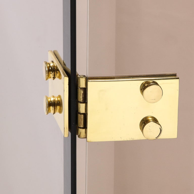 MidCentury Modern TriFold Smoked Glass Fire Screen with Brass Hinges