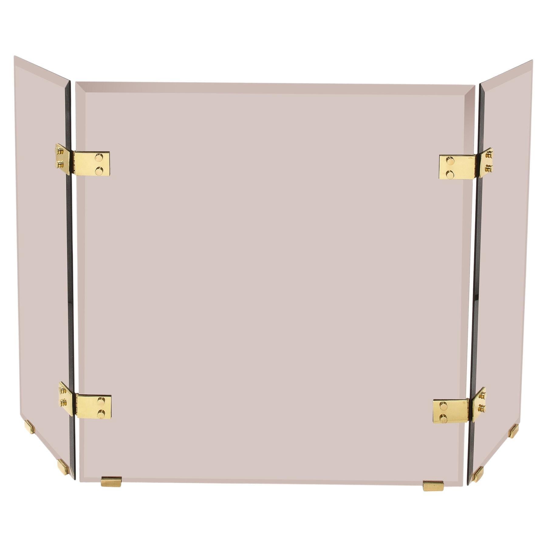 Mid-Century TriFold Smoked Glass Fire Screen w/ Brass Hinges by Danny Alessandro For Sale