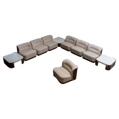 Mid Century Modern, "Trinom" Lounge Chairs by COR Peter Maly, 1969