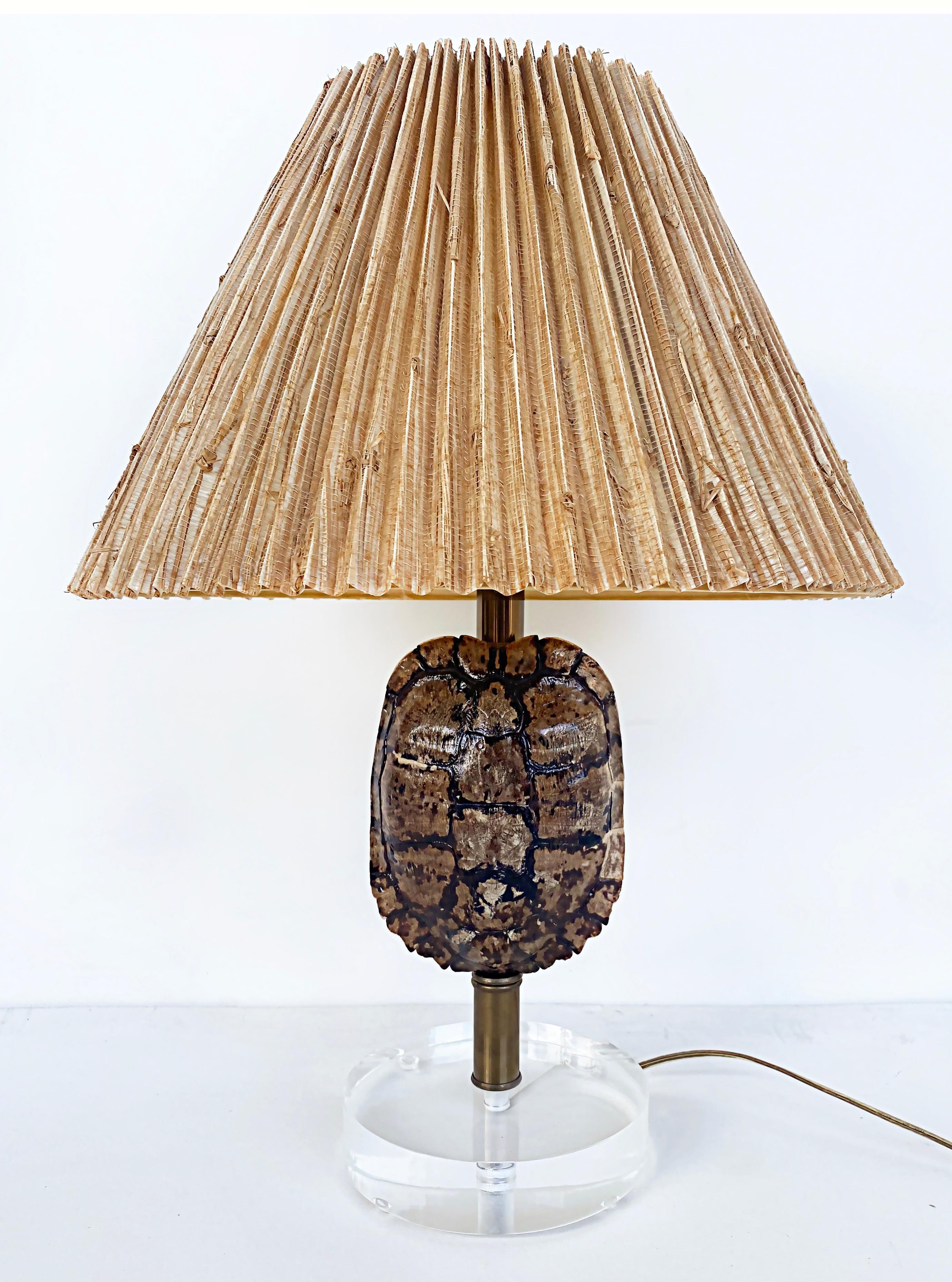 turtle shell lamp
