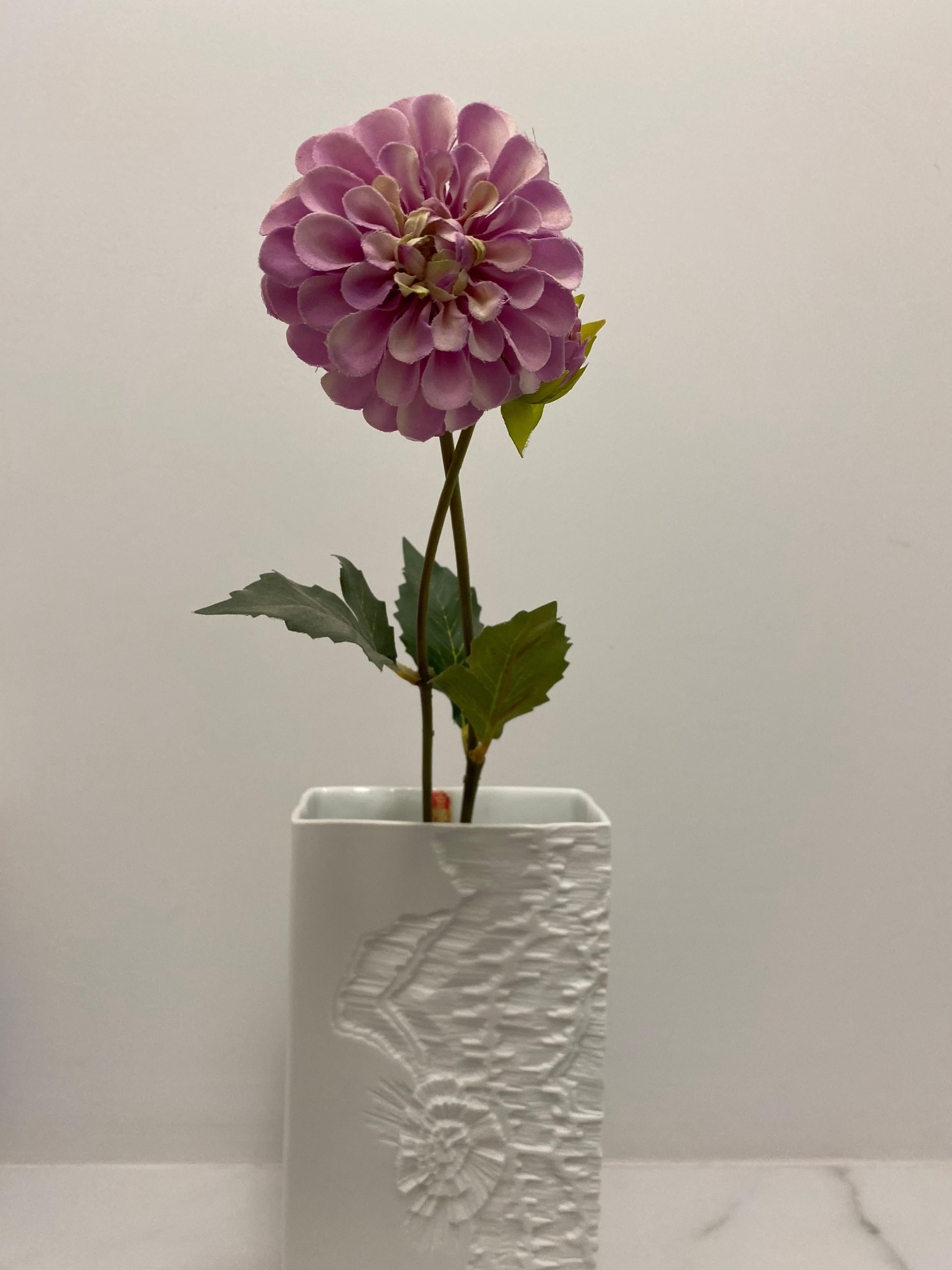 Vaso moderno di metà secolo di Kaiser Germany in vendita 2