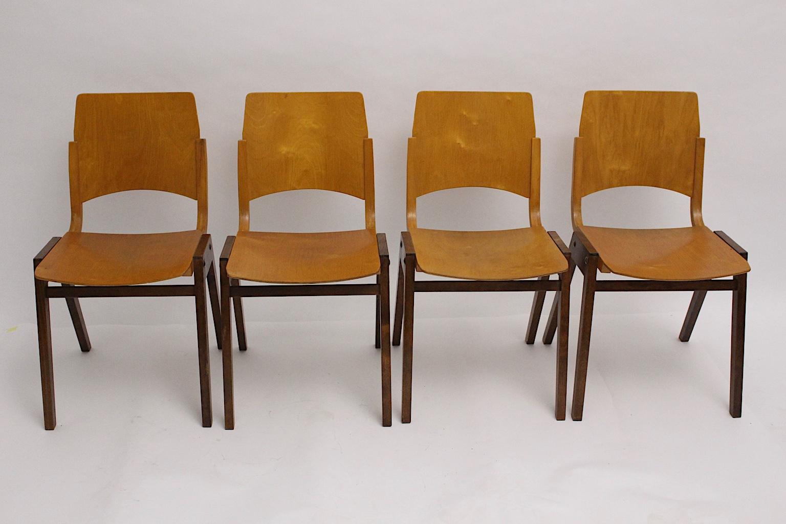 Mid Century Modern Satz von 4 bicolor Esszimmerstühlen aus Buche Modell P 7 von Roland Rainer entworfen für die Wiener Stadthalle 1952. Die Esszimmerstühle sind auch stapelbar. Ausgeführt von Emil und Alfred Pollak.
Darüber hinaus bestehen die