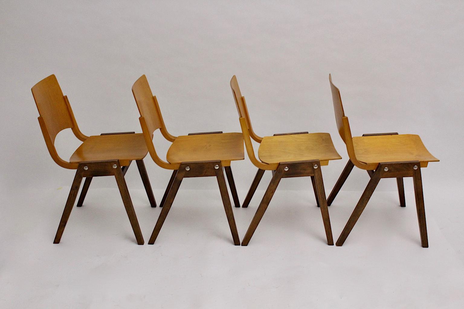 Mid-Century Modern Chaises de salle à manger vintage en hêtre bicolore Roland Rainer 1952 Vienne, moderne du milieu du siècle dernier en vente
