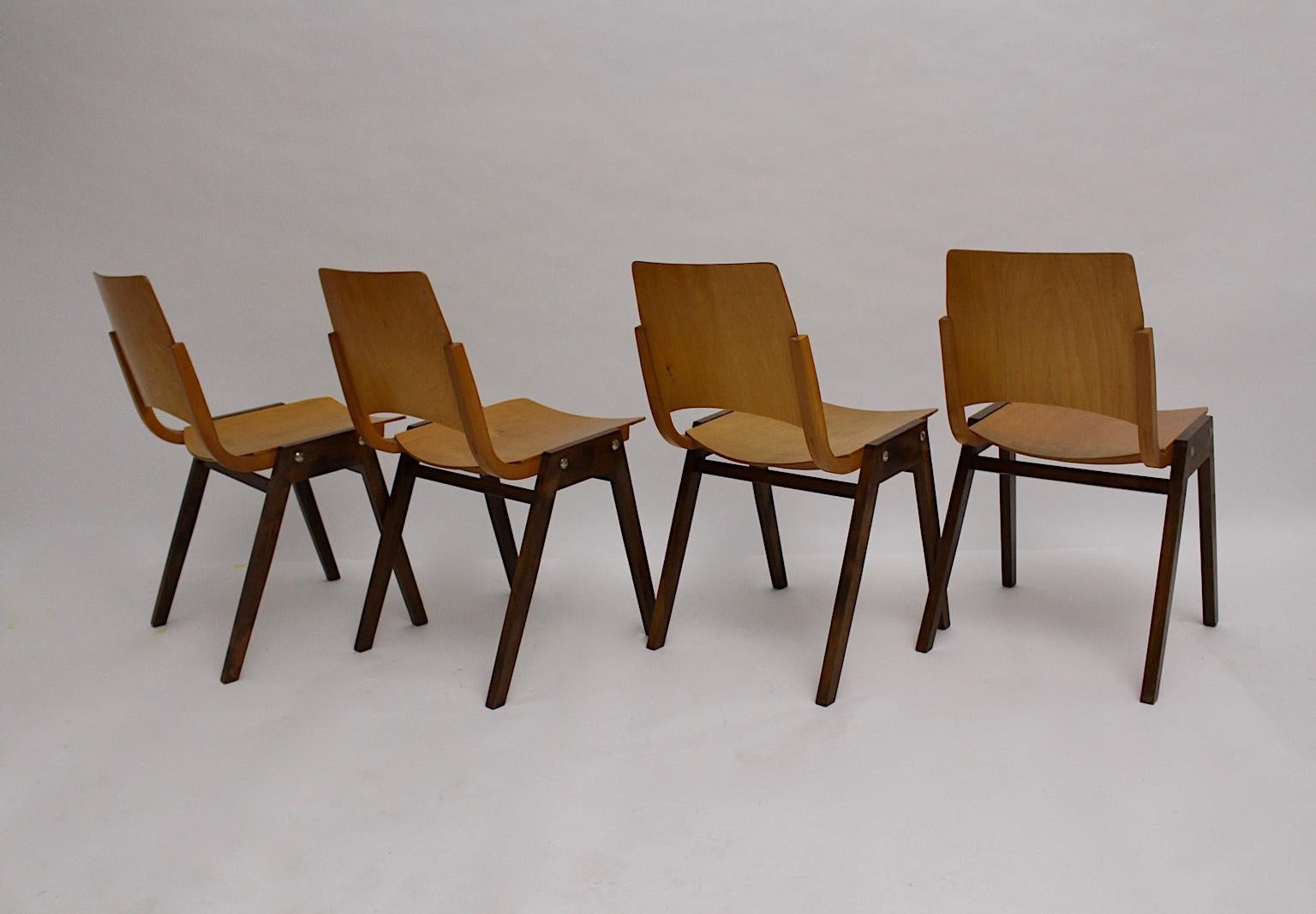 Mid-Century Modern Vintage Beech Bicolor Dining Chairs Roland Rainer 1952 Vienna For Sale 1