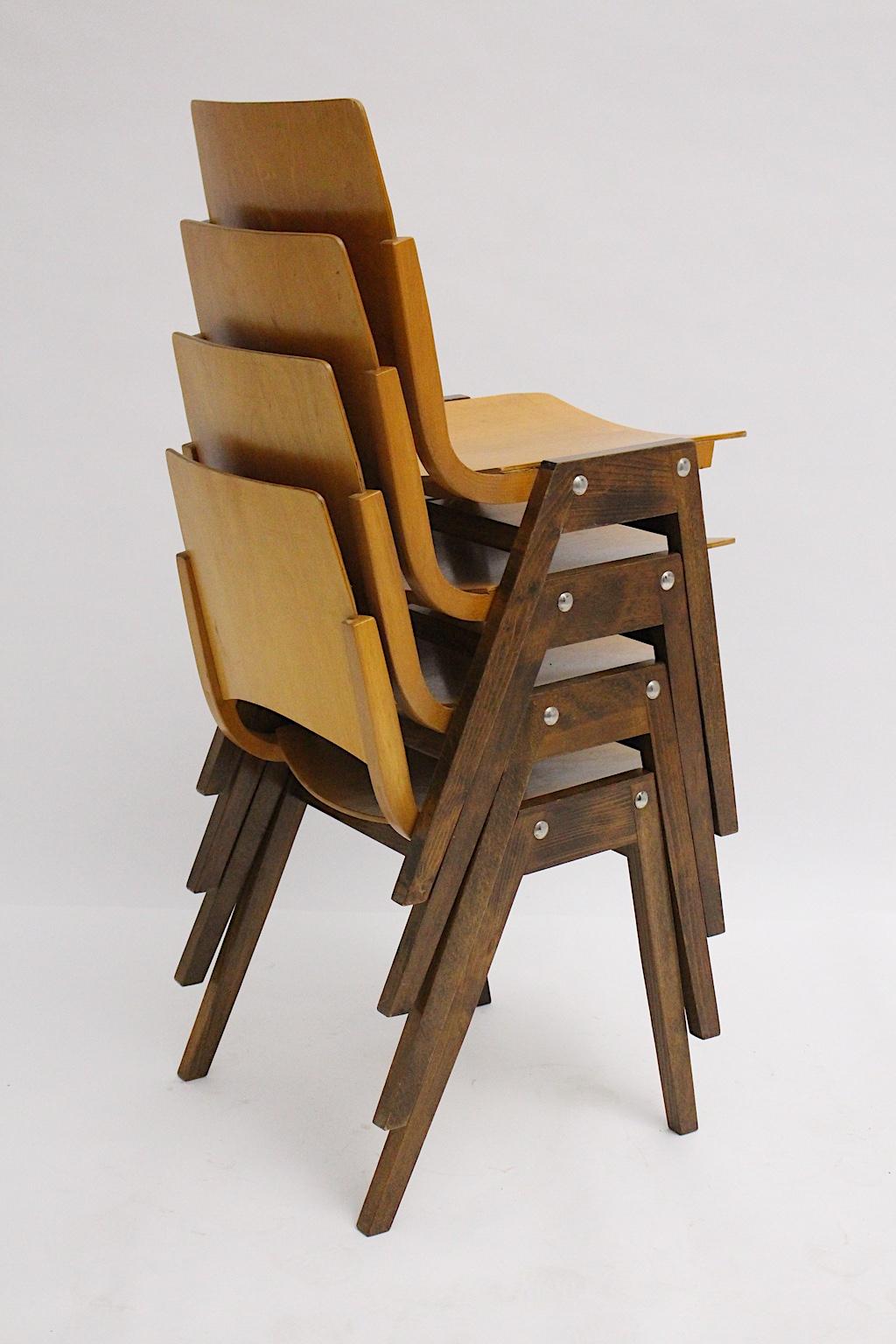 Mid-Century Modern Vintage Beech Bicolor Dining Chairs Roland Rainer 1952 Vienna For Sale 4