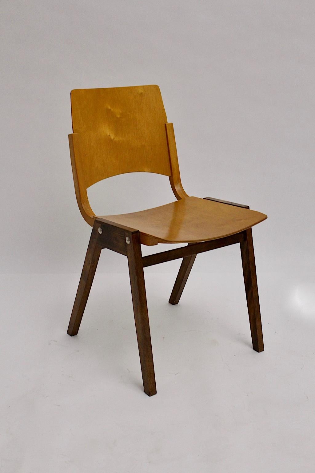 Mid-Century Modern Vintage Beech Bicolor Dining Chairs Roland Rainer 1952 Vienna For Sale 5