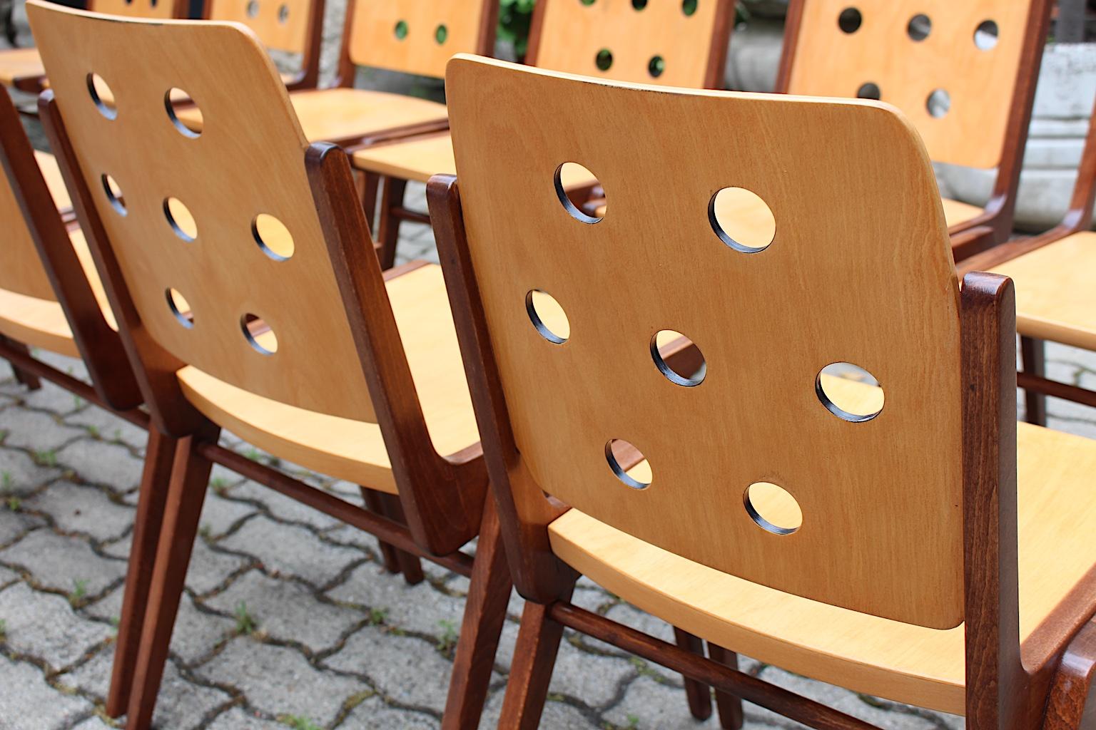 Mid-Century Modern Vintage Beech Twelve Dining Chairs Franz Schuster, Austria 14