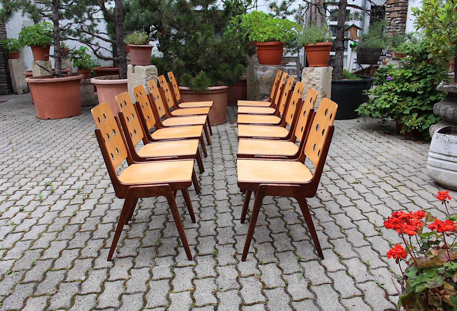 Mid-Century Modern vintage set of 12 bicolor beechwood dining chairs, which were designed by Franz Schuster and executed by Wiesner Hager, Austria, 1950s.
The frame was made of solid brown stained and natural lacquered beechwood. Seat and back were