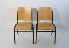 Mid Century Modern Vintage Bicolor Dining Room Chairs Franz Schuster Vienna
