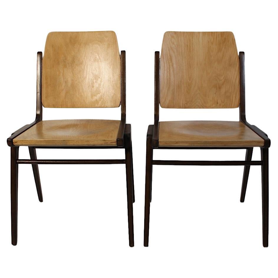 Mid Century Modern Vintage Bicolor Dining Room Chairs Franz Schuster Vienna