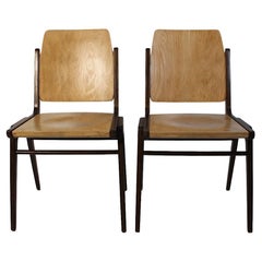 Mid Century Modern Vintage Bicolor Dining Room Chairs Franz Schuster Vienna