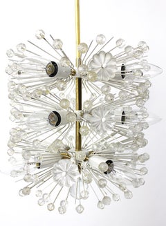 Lampadario a dente di leone con fiori bianchi in ottone vintage della metà del secolo scorso Rupert Nikoll