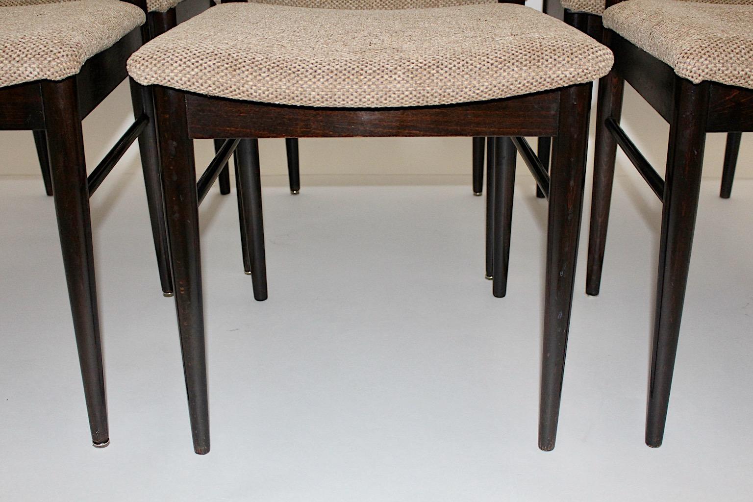 Mid-Century Modern Vintage Brown Beech Six Gio Ponti Style Dining Chairs, 1960s For Sale 4