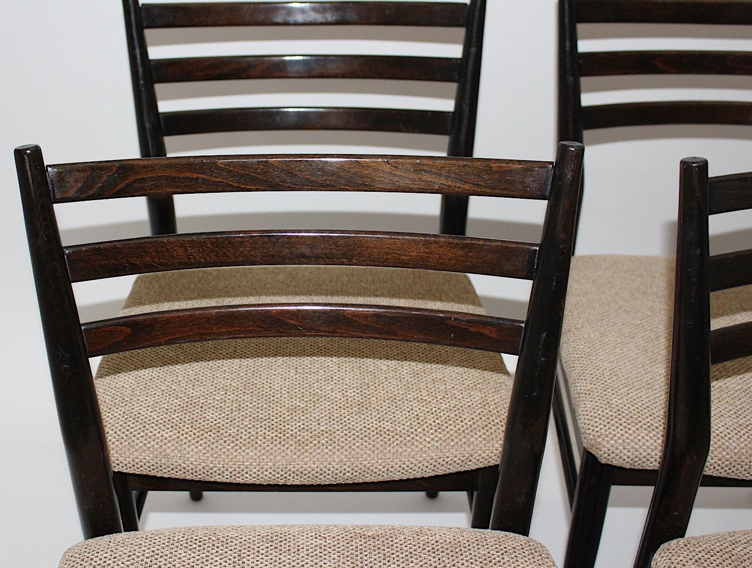 Mid-Century Modern Vintage Brown Beech Six Gio Ponti Style Dining Chairs, 1960s For Sale 5